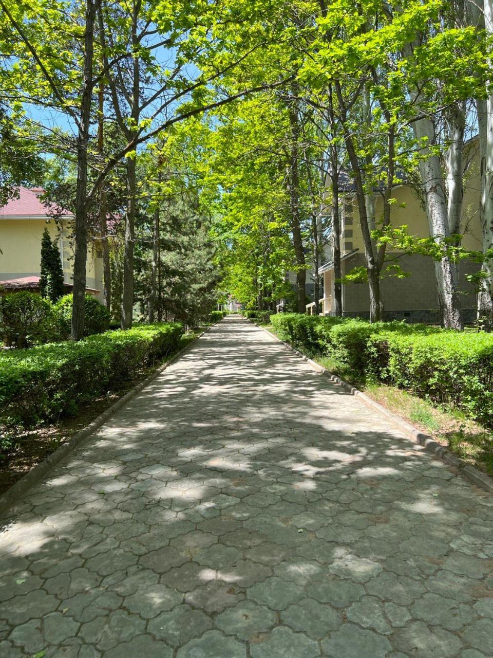 Luxury-Family-Cottage Бостери Екстериор снимка